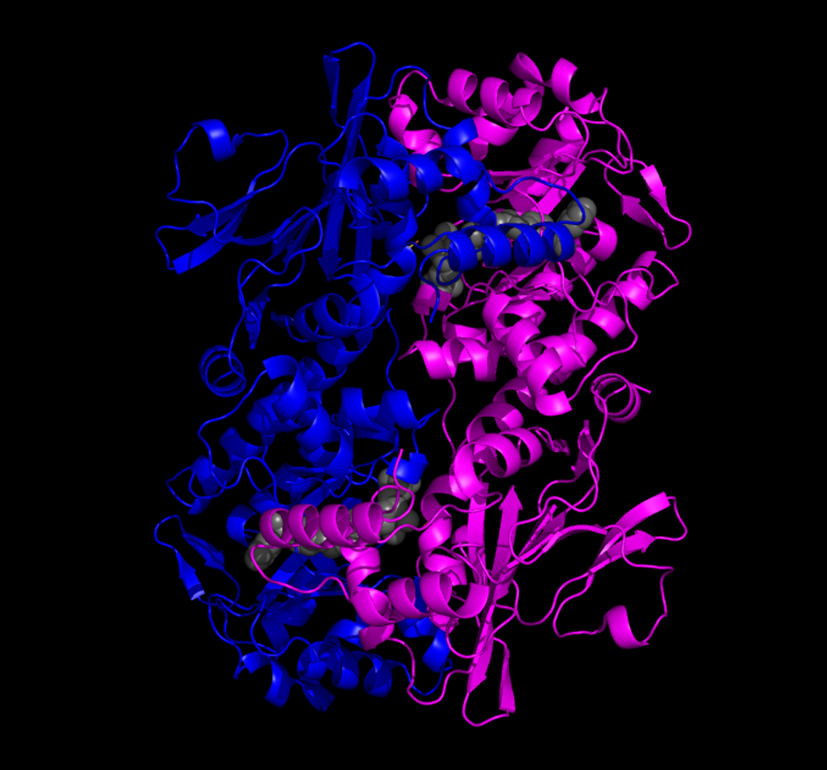 A computer-generated model of an eNAMPT moduator.