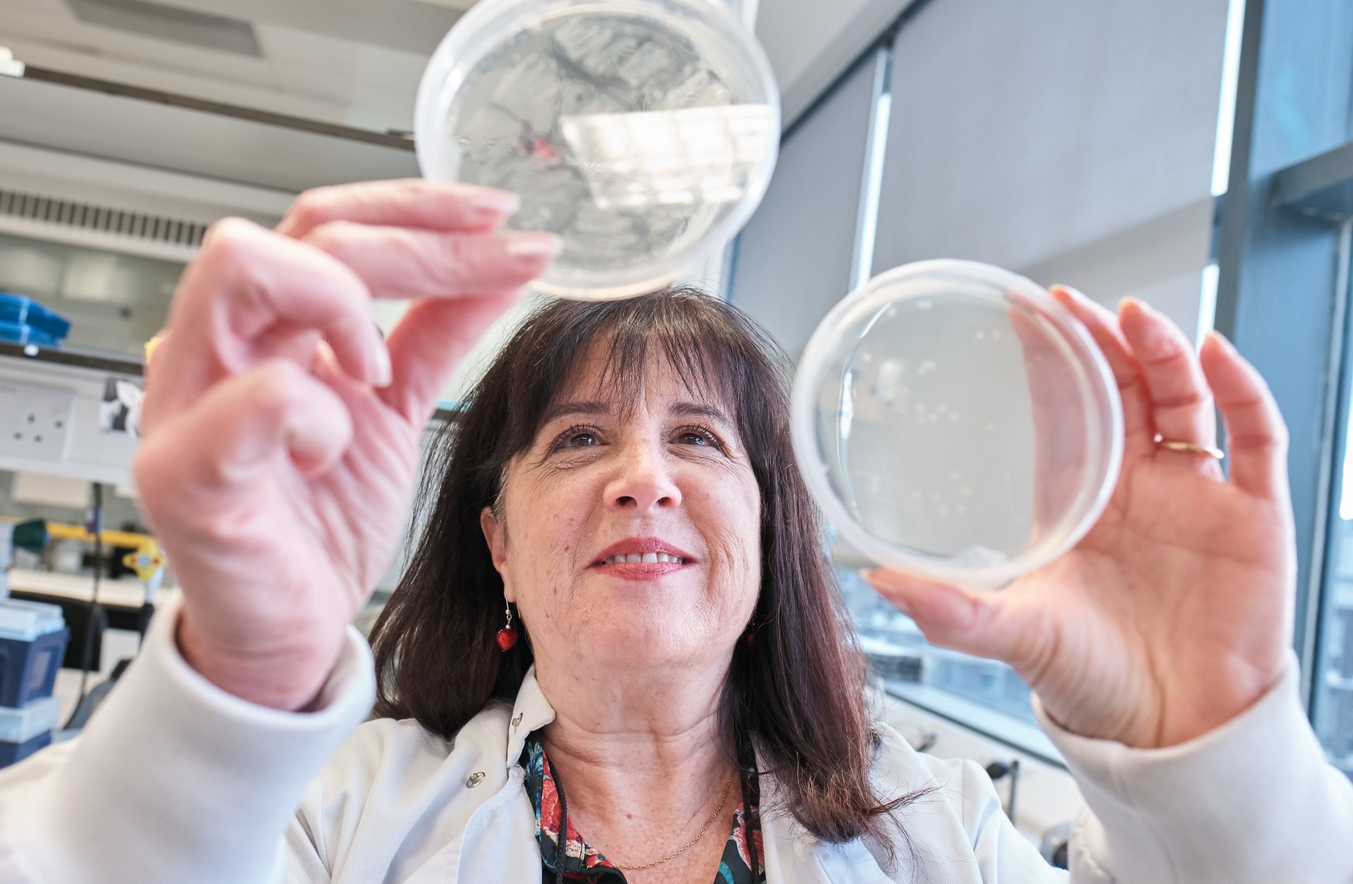 Prof. Lydia Tabernero in the lab - Innovation Factory