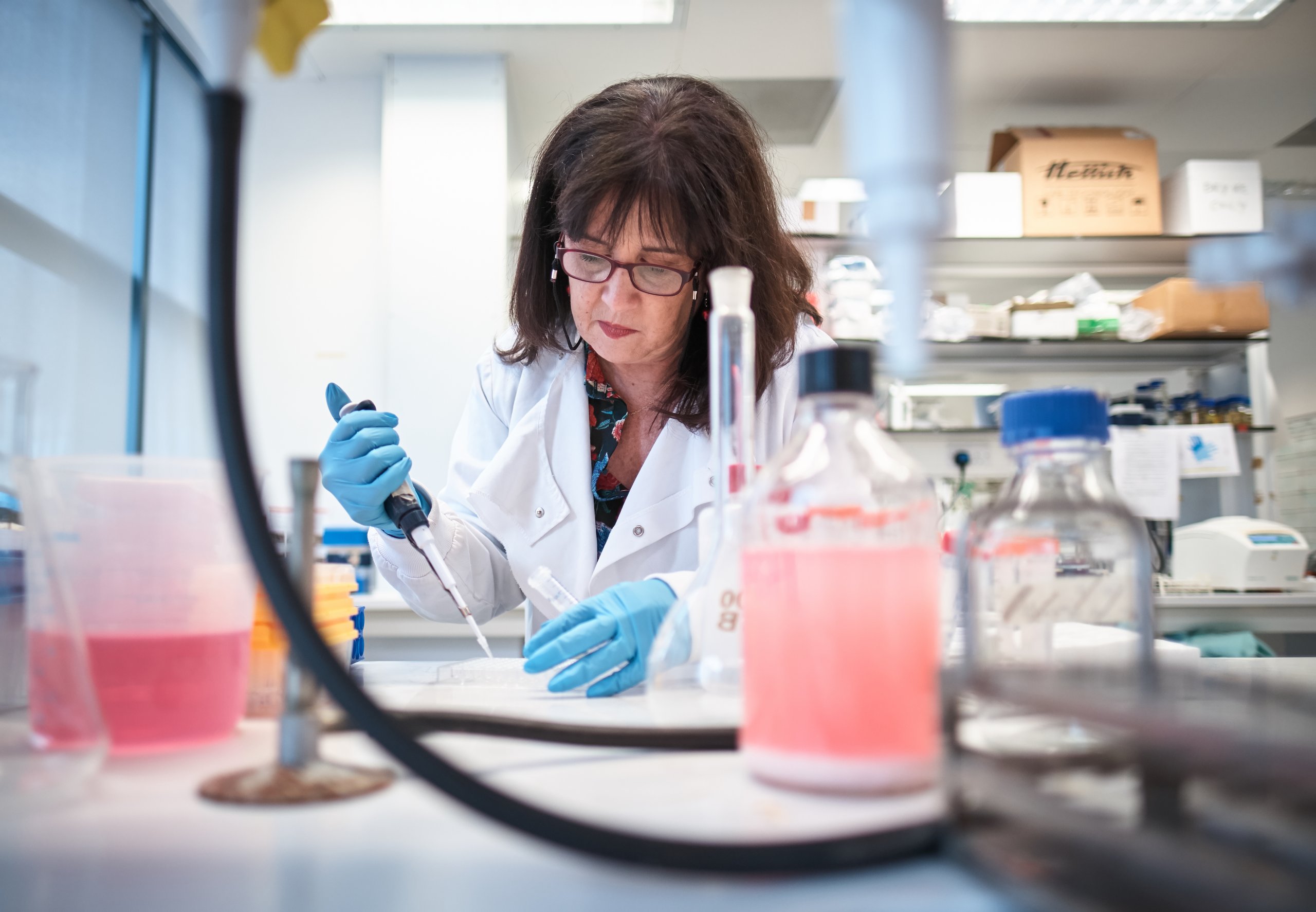 Prof. Lydia Tabernero working on the lab - University of Manchester Innovation Factory 