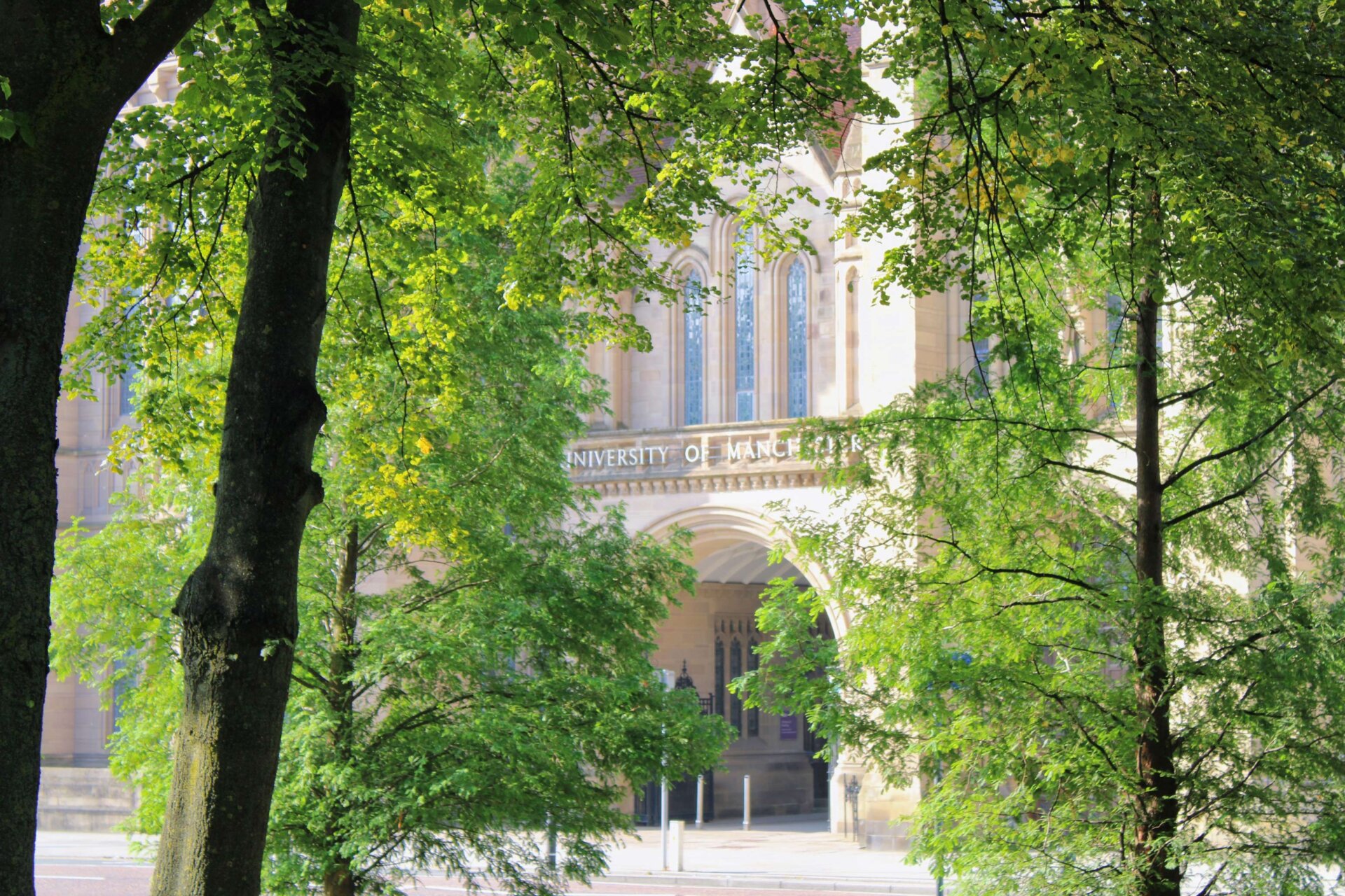 a view of the iconic University of Manchester through the trees