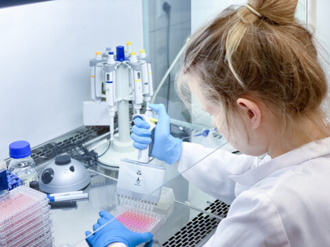 A female PhD student performing a biological experiment on a cancer cells in a sterile environment of designated biosafety laboratory at research