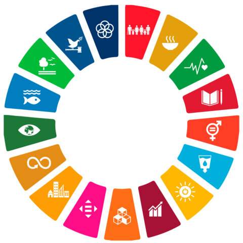 sustainable roulette sdg