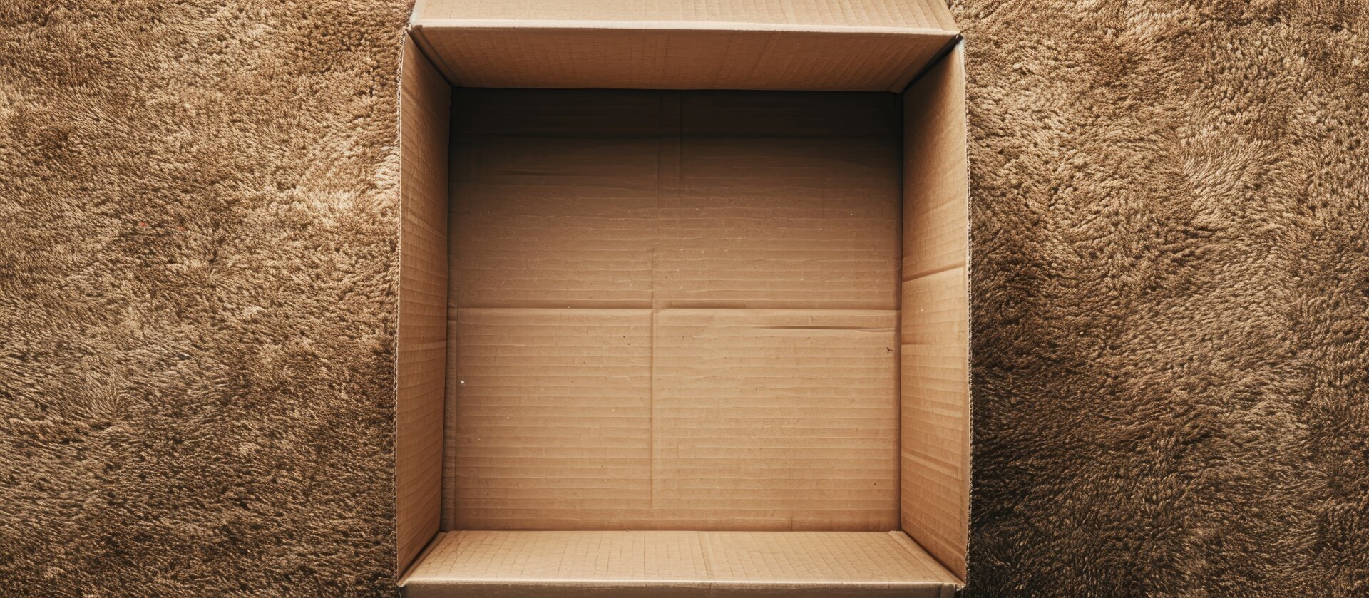 Close-up top view of an open empty cardboard box on vacuuming rough carpet background for home moving concept. Copyspace.