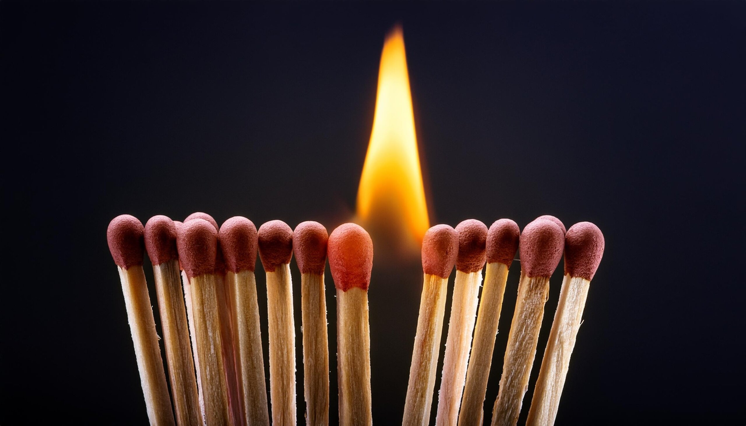 a row of matches. the two in the middle are lit and the others are about to catch fire. Black background.